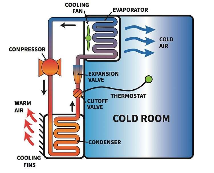 how-cold-room-works