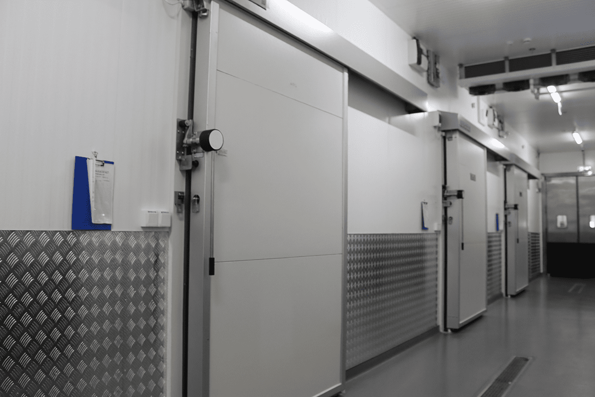 manual automatic sliding doors