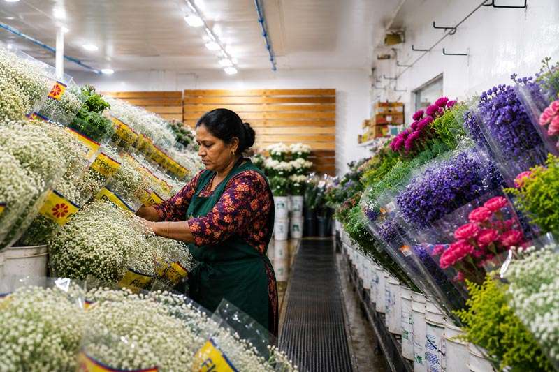 flower cold storage
