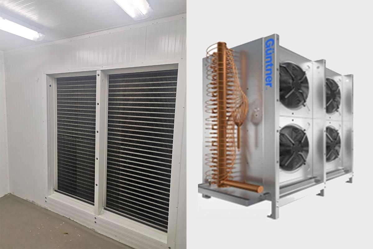 Blast Chiller/Freezer