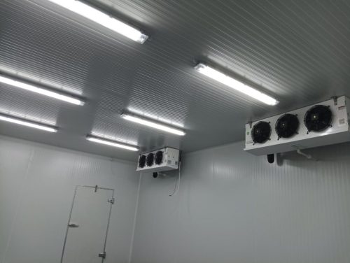 Cold Room Project, UAE